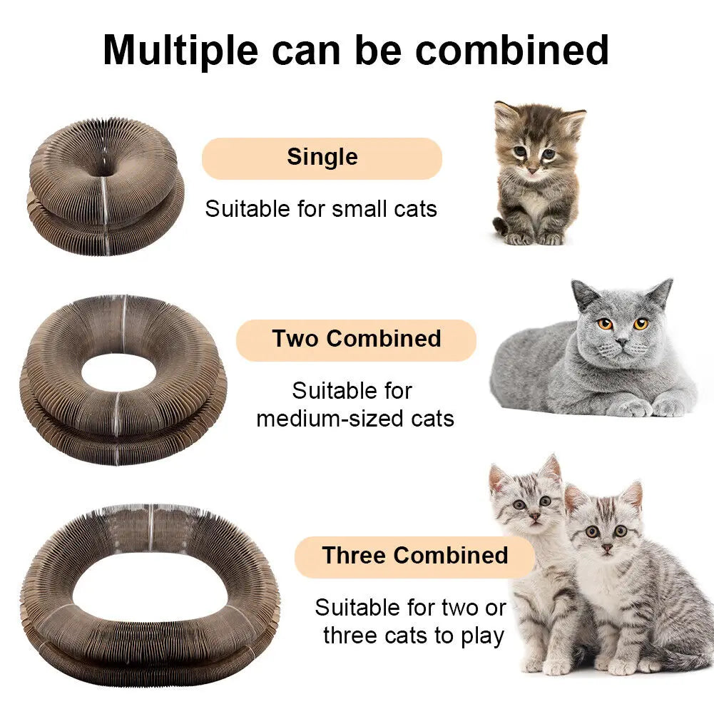 Foldable Cat Scratching Board & Play Bed-1
