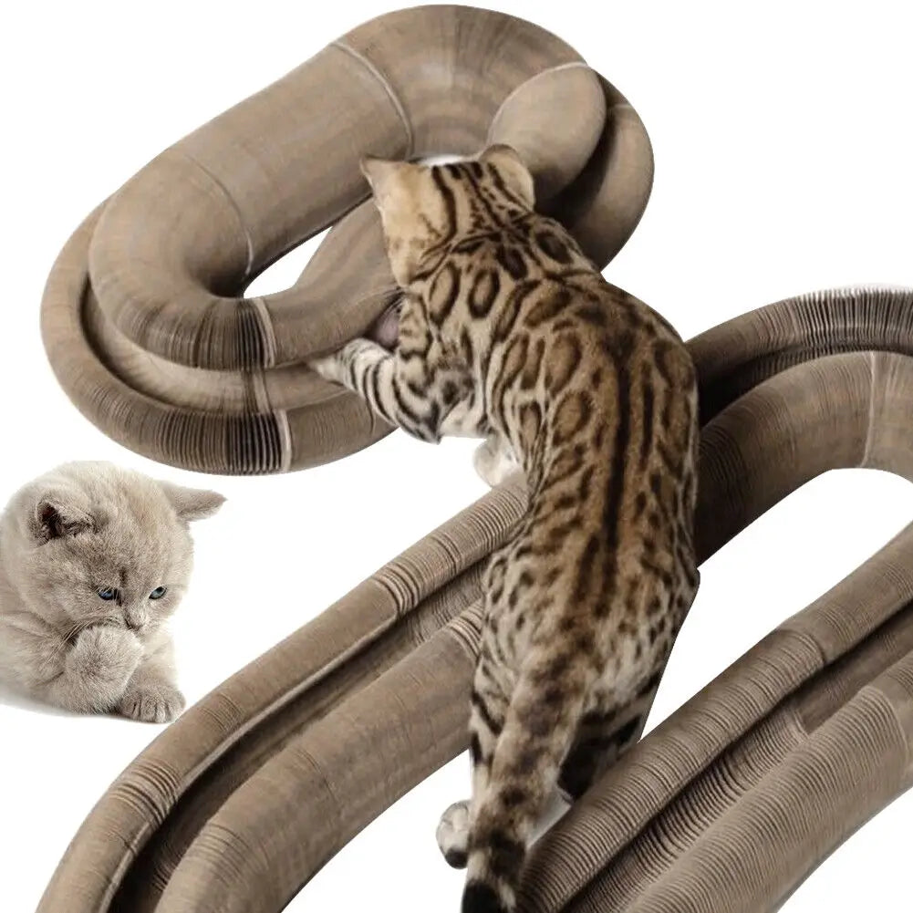 Foldable Cat Scratching Board & Play Bed-3