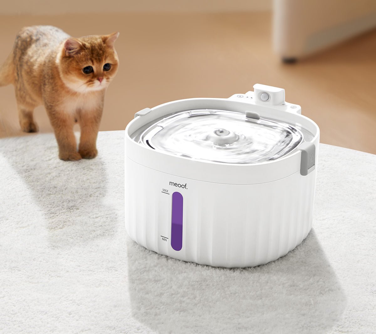 Wireless Smart Sensor Pet Water Fountain with Ceramic Plate-1