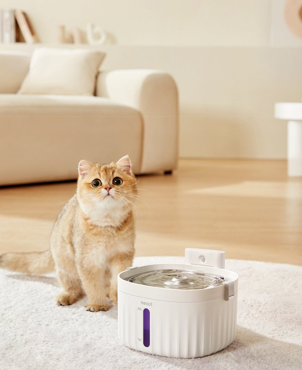 Wireless Smart Sensor Pet Water Fountain with Ceramic Plate-2