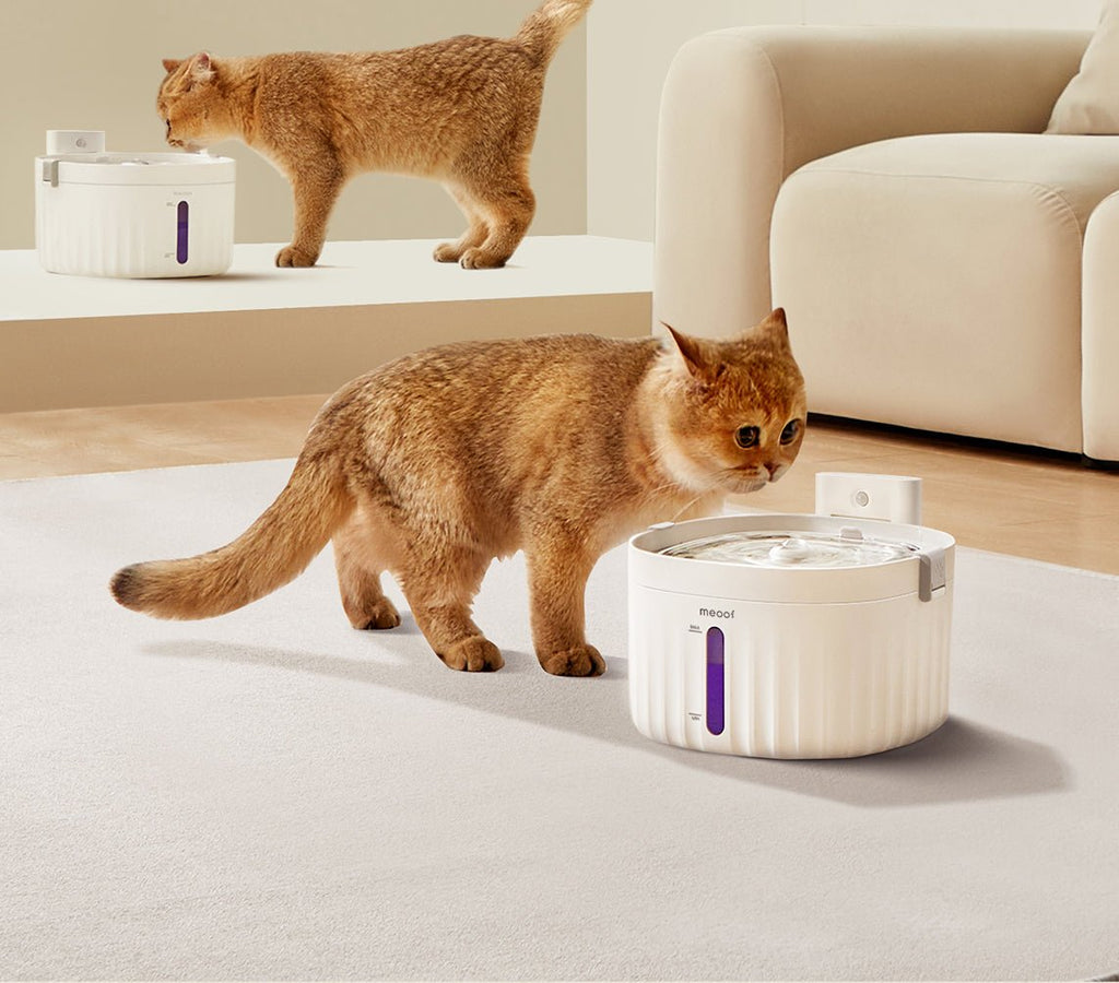 Wireless Smart Sensor Pet Water Fountain with Ceramic Plate-4